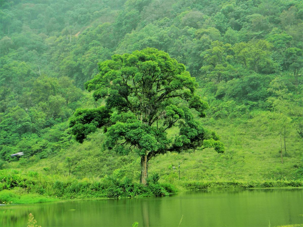 Pousada Signora Del Lago Sao Joao  Exteriér fotografie