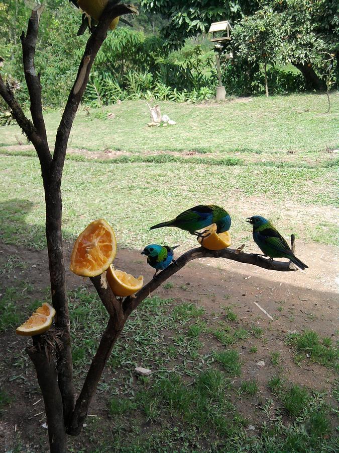 Pousada Signora Del Lago Sao Joao  Exteriér fotografie